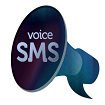 Voice sms services